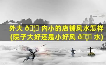 外大 🦁 内小的店铺风水怎样(院子大好还是小好风 🦍 水)